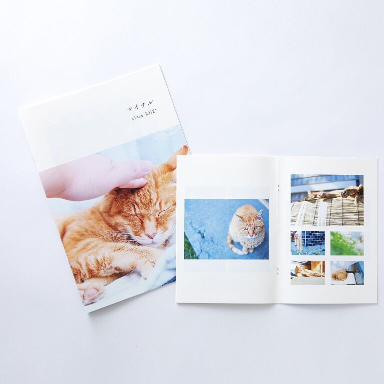 PhotoZINE | カメラのアマノ インターネット写真サービス